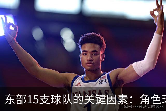 东部15支球队的关键因素：角色球员影响成败
