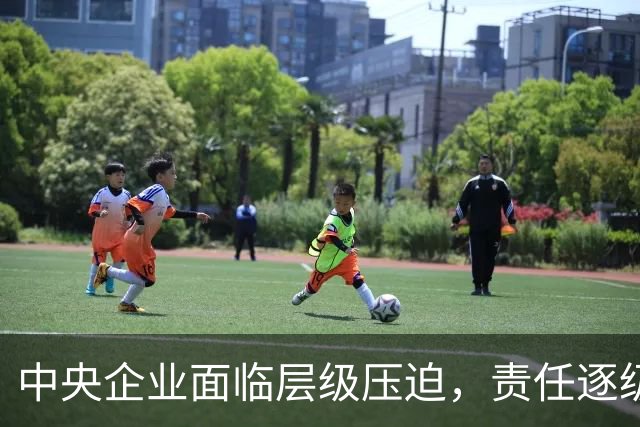 中央企业面临层级压迫，责任逐级向下转移