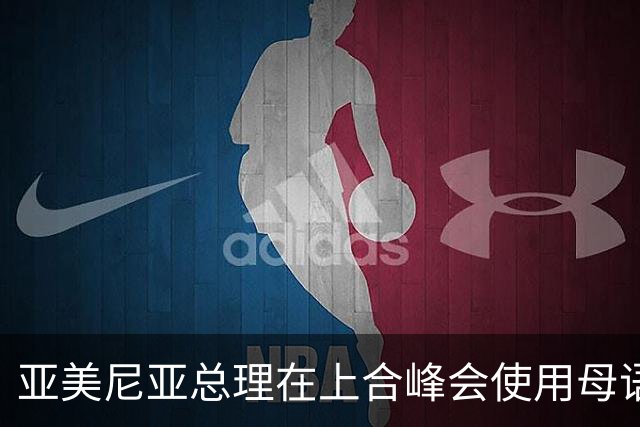 亚美尼亚总理在上合峰会使用母语引发关注