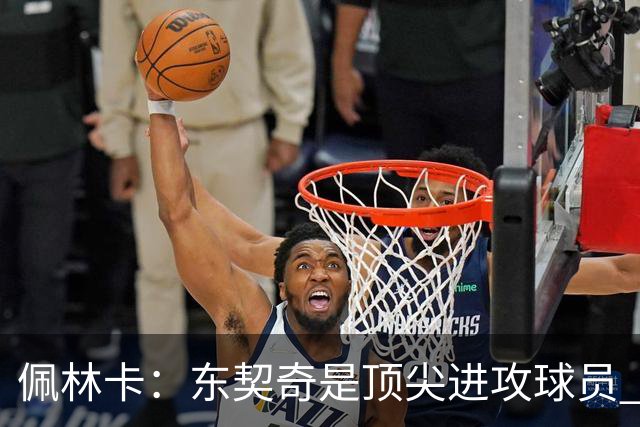 佩林卡：东契奇是顶尖进攻球员 感到非常满意球队现状