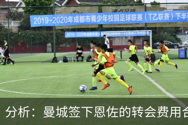 分析：曼城签下恩佐的转会费用合理性探讨
