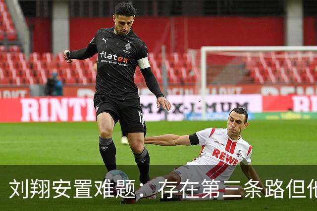 刘翔安置难题：存在第三条路但他不会走