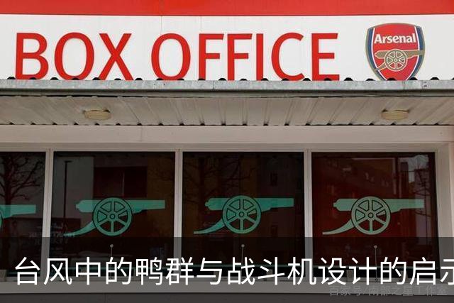 台风中的鸭群与战斗机设计的启示