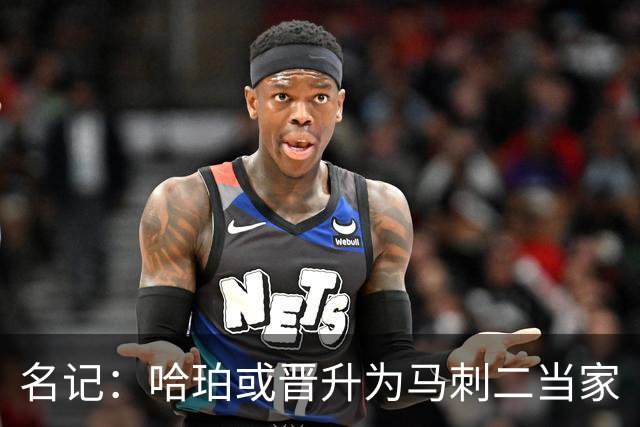 名记：哈珀或晋升为马刺二当家