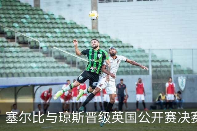 塞尔比与琼斯晋级英国公开赛决赛