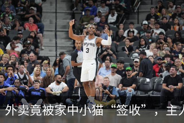 外卖竟被家中小猫“签收”，主人笑翻