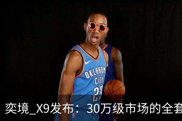 奕境 X9发布：30万级市场的全套标配颠覆传统选装模式