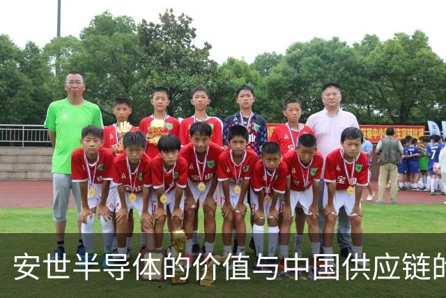 安世半导体的价值与中国供应链的影响