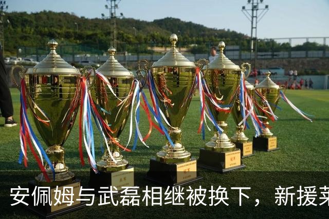 安佩姆与武磊相继被换下，新援莱昂纳多和刘祝润登场