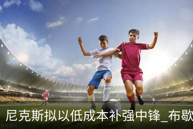 尼克斯拟以低成本补强中锋 布歇成为备选