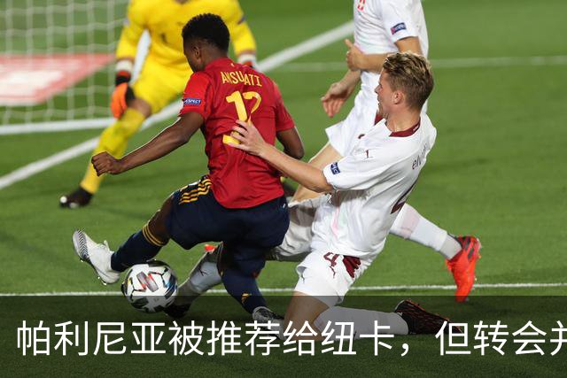 帕利尼亚被推荐给纽卡，但转会并未推进