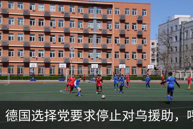 德国选择党要求停止对乌援助，呼吁乌克兰人回国