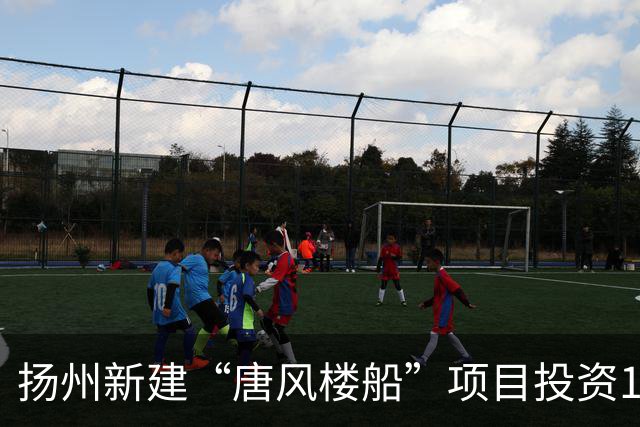 扬州新建“唐风楼船”项目投资11.5亿，未来前景如何？