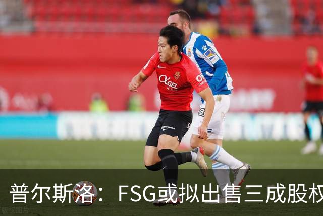 普尔斯洛：FSG或拟出售三成股权给巴蒂亚牵头财团