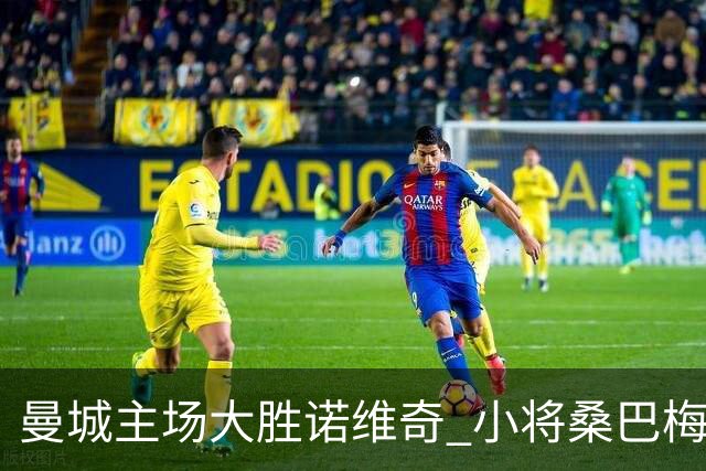曼城主场大胜诺维奇 小将桑巴梅开二度