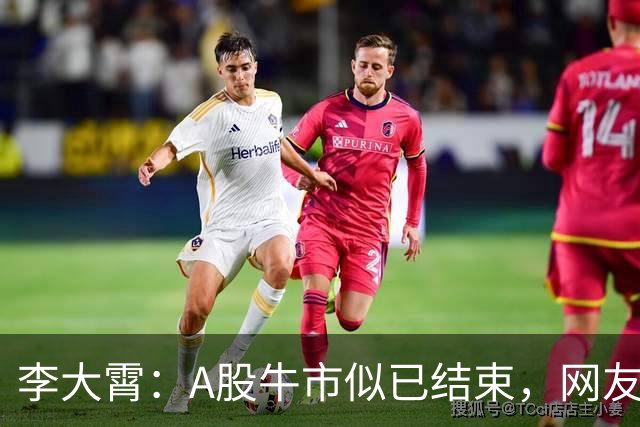 李大霄：A股牛市似已结束，网友对此表示质疑