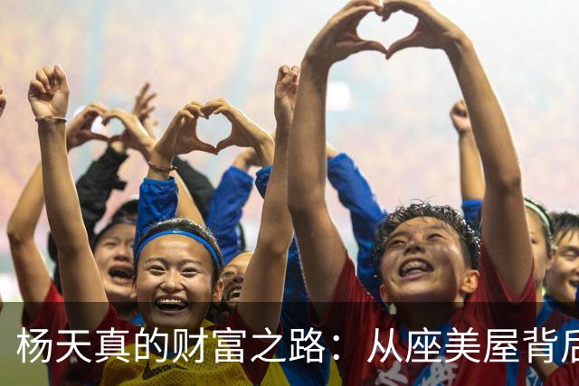 杨天真的财富之路：从座美屋背后的传奇故事