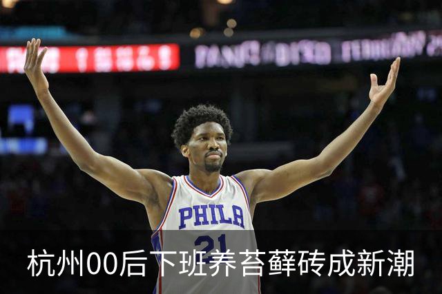 杭州00后下班养苔藓砖成新潮