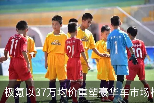 极氪以37万均价重塑豪华车市场格局