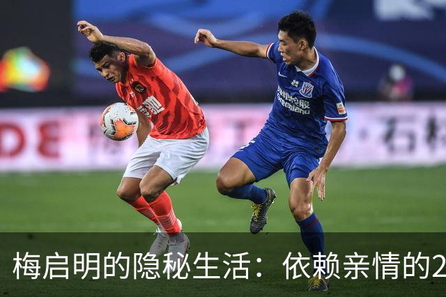 梅启明的隐秘生活：依赖亲情的23年与失去后的窘境