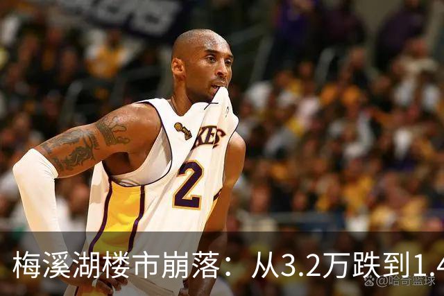 梅溪湖楼市崩落：从3.2万跌到1.4万的教训