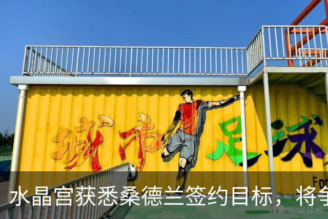 水晶宫获悉桑德兰签约目标，将争夺里昂边锋福法纳
