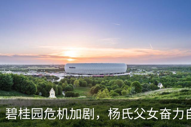 碧桂园危机加剧，杨氏父女奋力自救对比许家印落幕