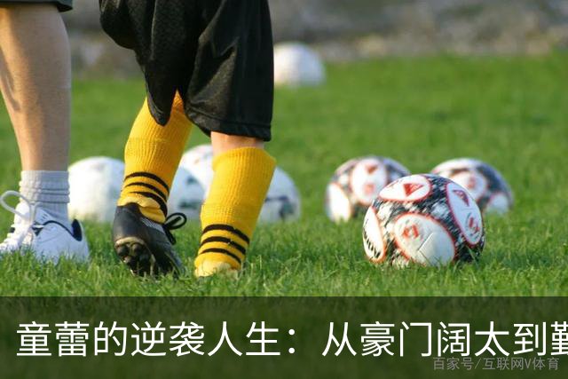 童蕾的逆袭人生：从豪门阔太到勤劳农妇