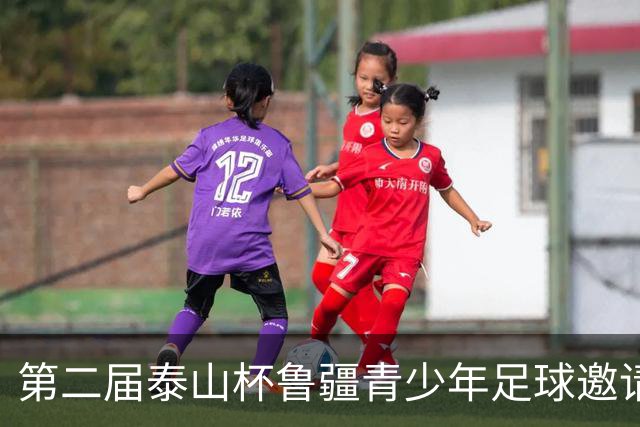 第二届泰山杯鲁疆青少年足球邀请赛圆满结束