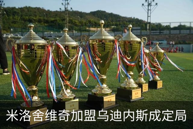 米洛舍维奇加盟乌迪内斯成定局