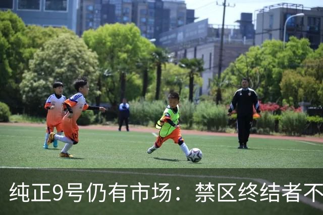 纯正9号仍有市场：禁区终结者不可替代