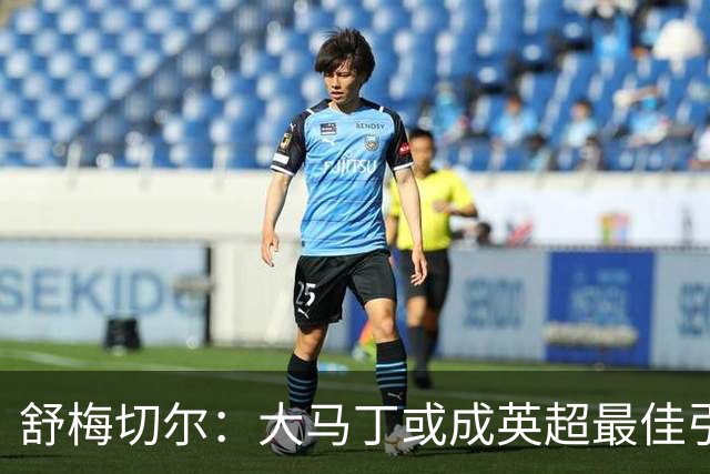 舒梅切尔：大马丁或成英超最佳引援，身价仅750万