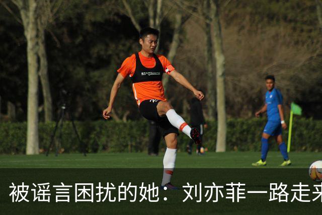 被谣言困扰的她：刘亦菲一路走来的真相与坚持
