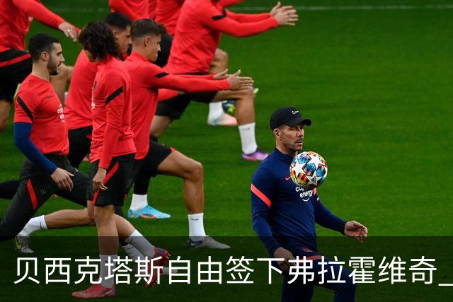 贝西克塔斯自由签下弗拉霍维奇 合同至2029年年薪750万欧
