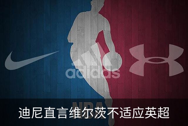 迪尼直言维尔茨不适应英超