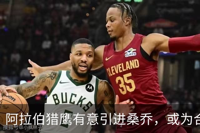 阿拉伯猎鹰有意引进桑乔，或为合同提供新机会