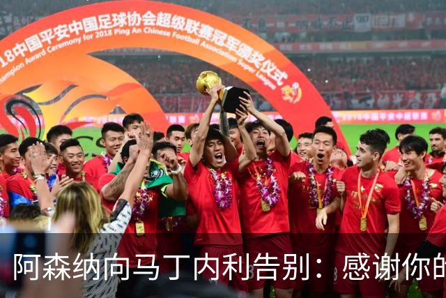 阿森纳向马丁内利告别：感谢你的奉献与辉煌岁月