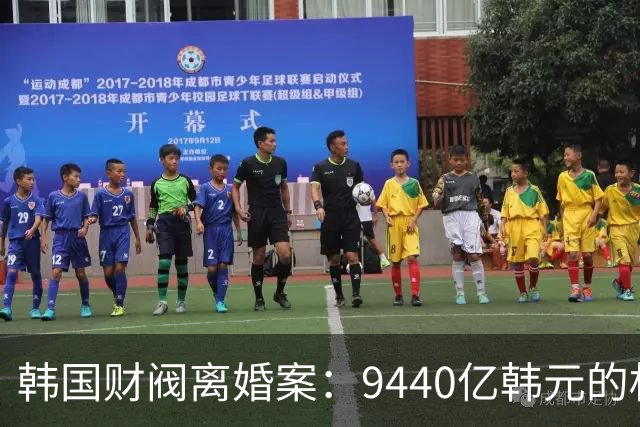 韩国财阀离婚案：9440亿韩元的权力与财富博弈