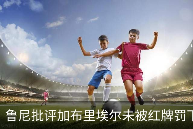 鲁尼批评加布里埃尔未被红牌罚下的争议事件