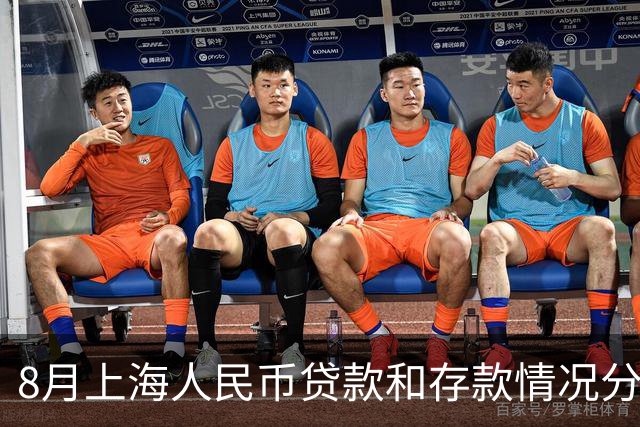 8月上海人民币贷款和存款情况分析