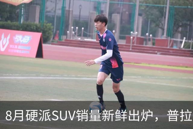 8月硬派SUV销量新鲜出炉，普拉多及豹8表现引关注
