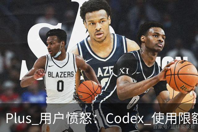 Plus 用户愤怒：Codex 使用限额快速耗尽，集体求解