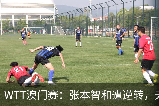 WTT澳门赛：张本智和遭逆转，无缘男单决赛